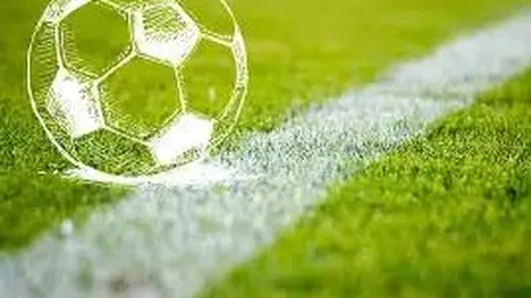 国服停摆期间，暴雪电竞项目进展如何？