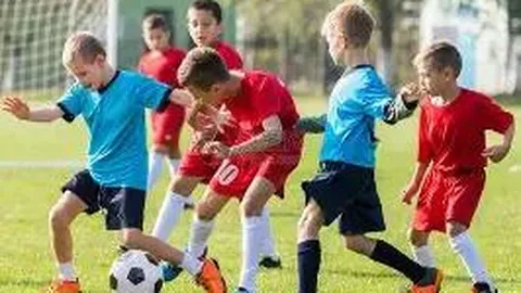 易倍体育 资讯 113801 xqd