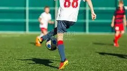 易倍体育 产品 104217 m8w