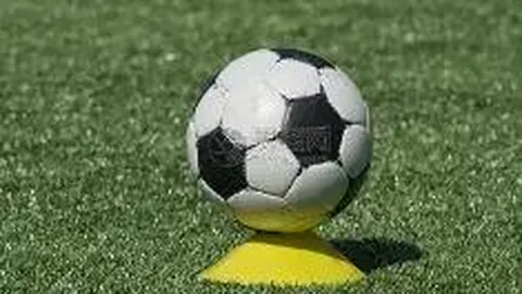 易倍体育 资讯 112707 n81